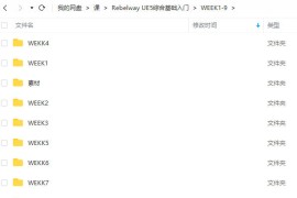 Rebelway UE5综合基础入门