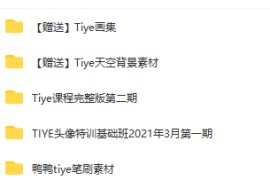 2021年 Tiye鸭 【iPad头像特训基础班】第1期+第2期