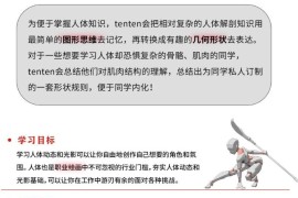 tenten云 人体结构动态基础 第五期 2022年