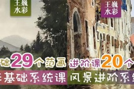 王巍水彩 基础课+风景进阶课 2022年