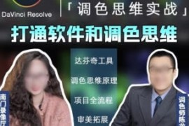 南门录像厅 达芬奇调色思维课 2023 商业项目实操【画质高清有大部分素材】