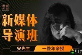 亲爱的安先生新媒体导演班：九大板块短视频创作课，内容-思维-美学-创作，全方位提升