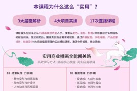 2020年 罗雨舒 【嘎罗实用商业插画全能班】第3期 + 第1期 +【嘎罗噪点风格插画绘制】