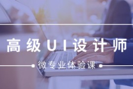 微专业《高级UI设计师》