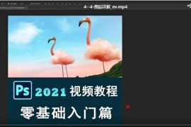 绳探长ps2021零基础入门＋精通【画质高清只有视频】