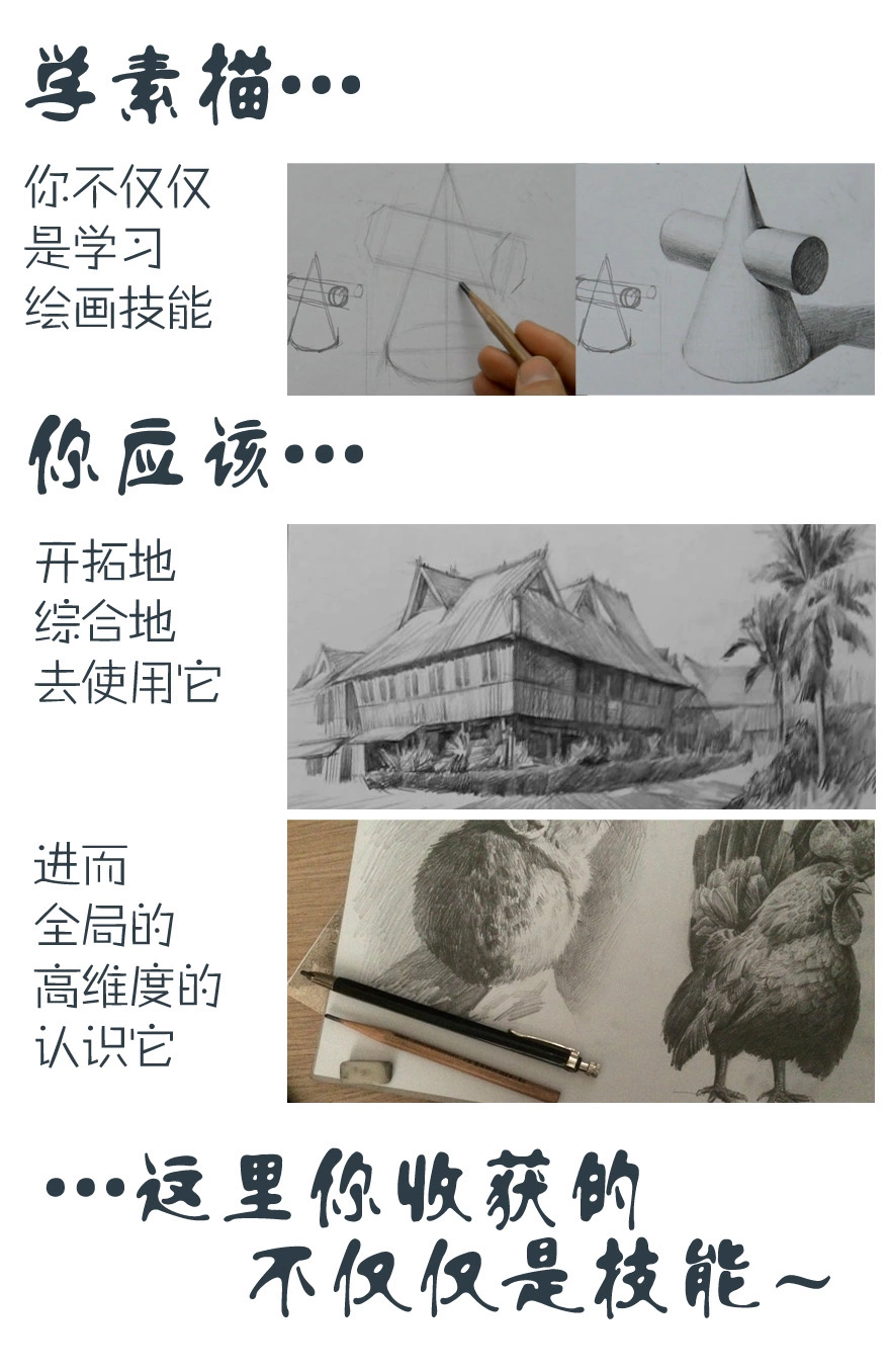 小绘本素描起步 + 素描综合训练 第15张