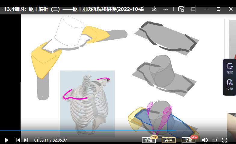 大木画画 人体结构 第7期 2022年12月已结课 第3张