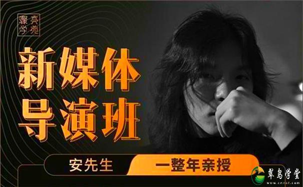 亲爱的安先生新媒体导演班：九大板块短视频创作课，内容-思维-美学-创作，全方位提升 第1张